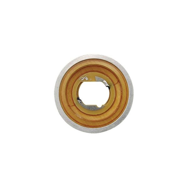 Reparo para Super Tweeter Hinor Hst600 Trynium Unitário