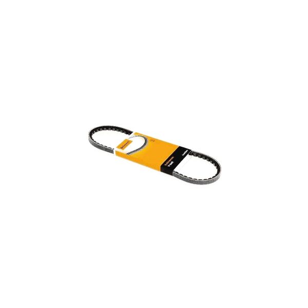 Correia Poly V Avx13X1660 Contitech