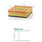 Filtro-De-Ar-Do-Motor-Mercedes-Benz-Sprinter-Mann-Filter-C323381-DPS-49489-02
