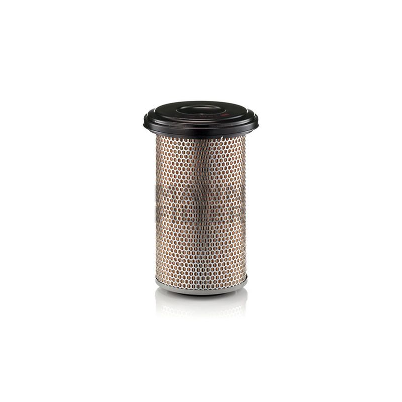 Filtro-De-Ar-Motor-C20325-Mann-DPS-49509-01