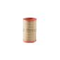 Filtro-De-Ar-Do-Motor-Citroen-Jumper-Fiat-Ducato-Peugeot-Boxer-Bosch-1457432282-DPS-69659-03