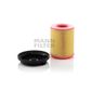 Filtro-De-Ar-Motor-C29010Kit-Mann-DPS-76928-01