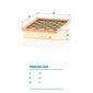 Filtro-De-Ar-Motor-C250081-Mann-DPS-6316250-02