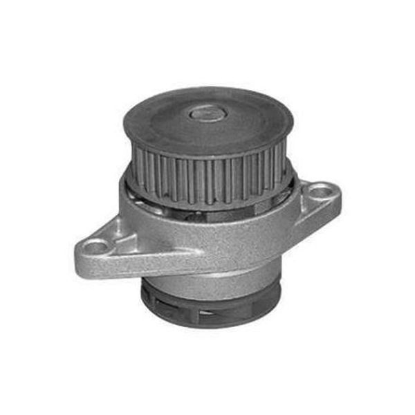 Bomba De Agua Gol G5 G4 G3 Polo Com Engrenagem Vkpc81210A Skf