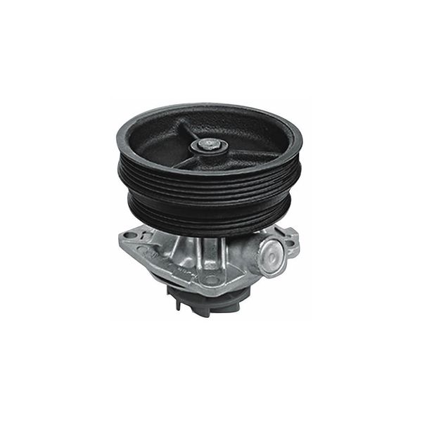 Bomba De Agua Palio Strada Brava Com Polia Vkpc82441A Skf