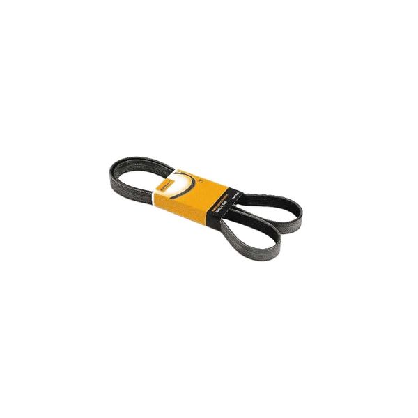 Correia Multi V 8Pk1376 Contitech