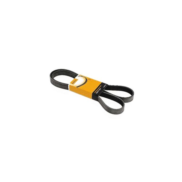 Correia Poly V 5Pk1546 Contitech
