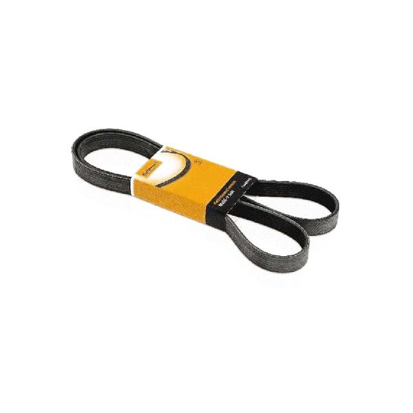 Correia Multi V 8Pk1805 Contitech