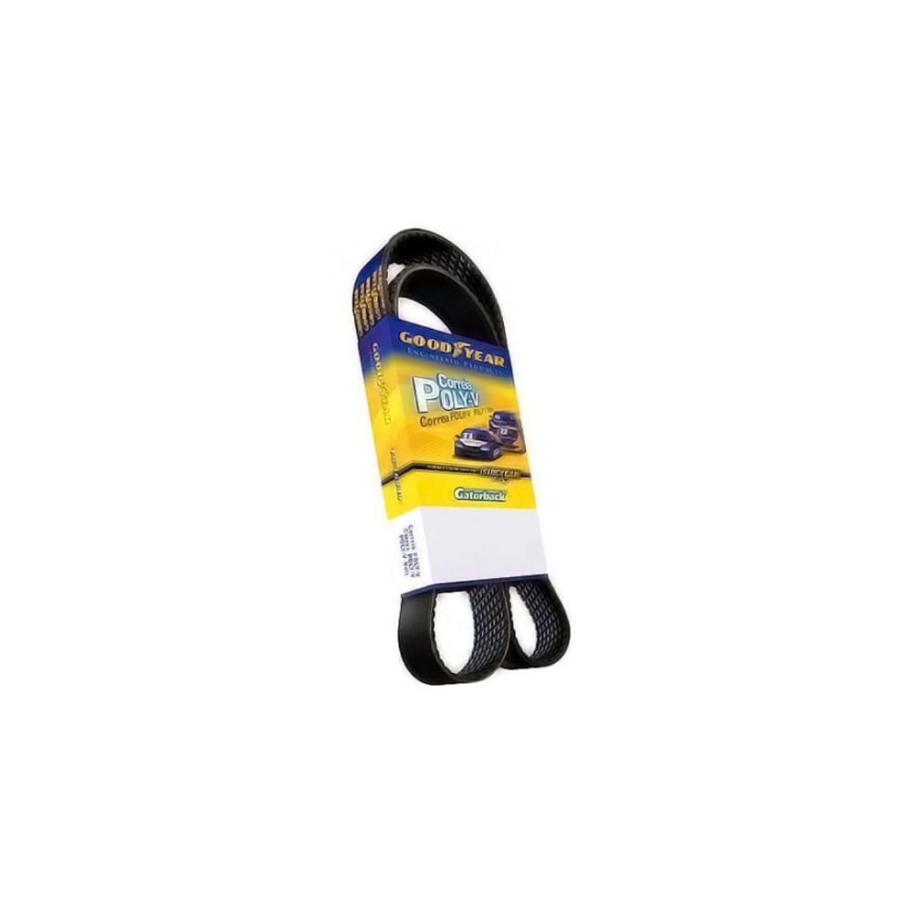 Correia do alternador Dayco 5PK975