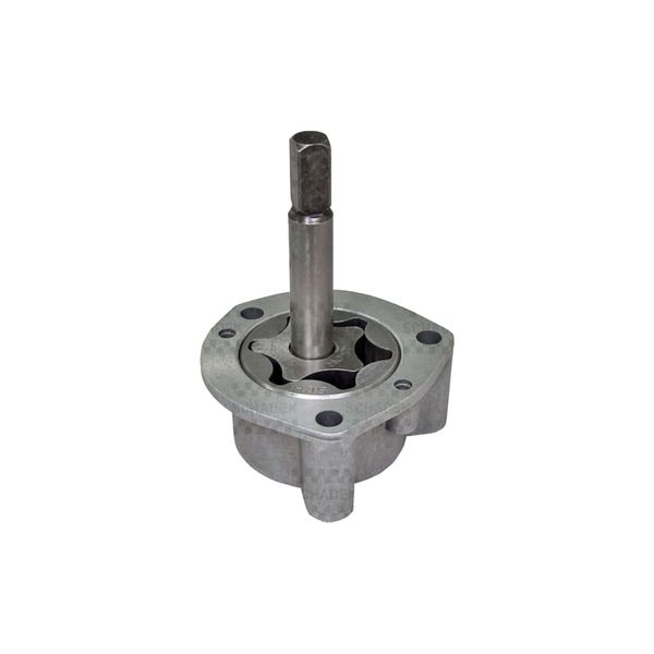 Bomba Oleo Motor 10172 Schadek