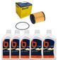 KIT-TROCA-OLEO-C4-CACTUS-SHINE-TURBO-1.6-16V-2018-2024-5W40