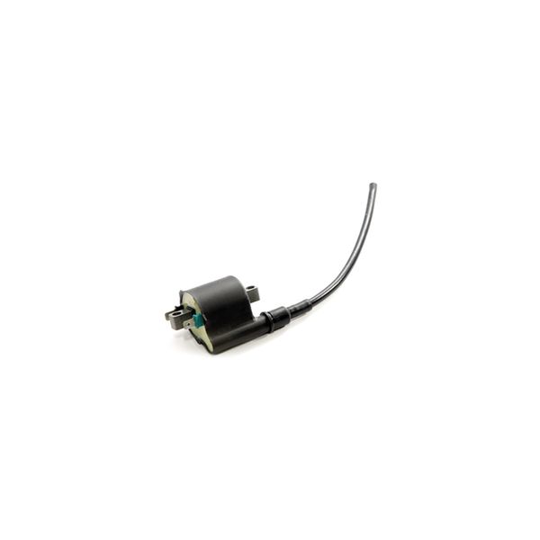 Bobina Ignicao Xre 2013-2020 90202660 Magnetron Bobina Ignicao Xre 2013-2020 90202660 Magnetron