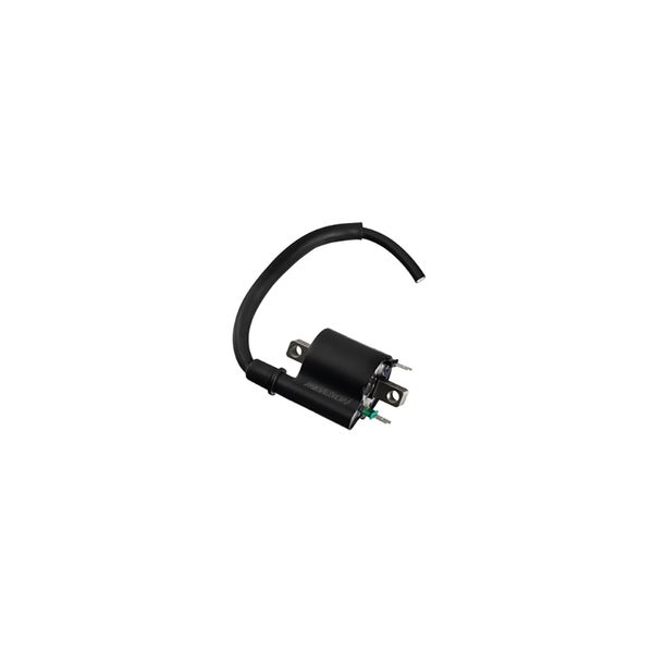 Bobina Ignicao Biz 2012-2015 90202690 Magnetron Bobina Ignicao Biz 2012-2015 90202690 Magnetron