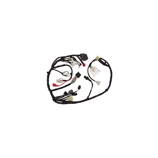 Chicote Principal Biz 90285800 Magnetron