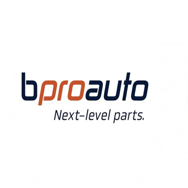 Par Disco Freio Palio Evo (2012 - 2017) Dianteiro Ventilado 240Mm 4 Furos 1Bp30409Aa Bproauto